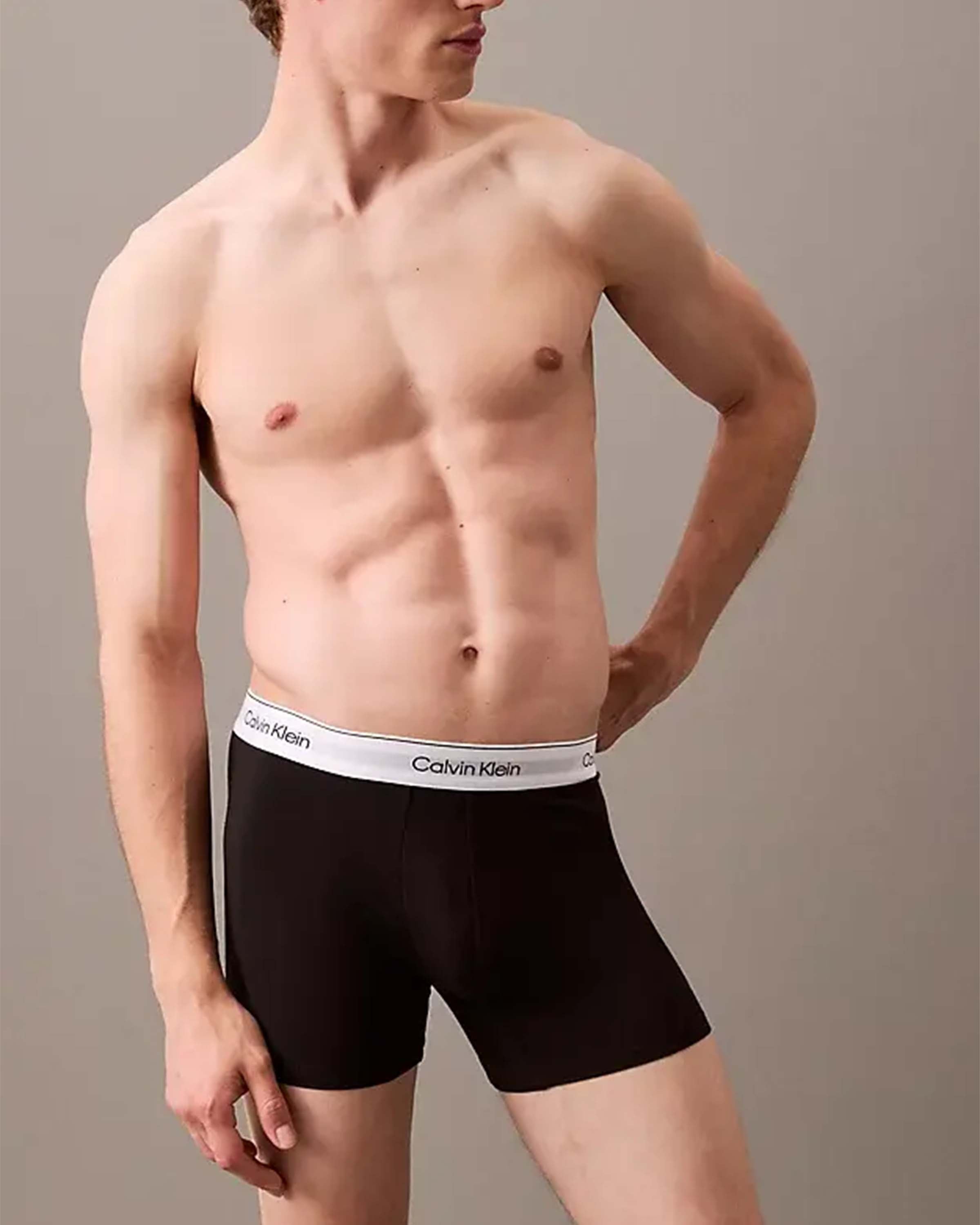 3 Pack Brief Boxer Set Lang