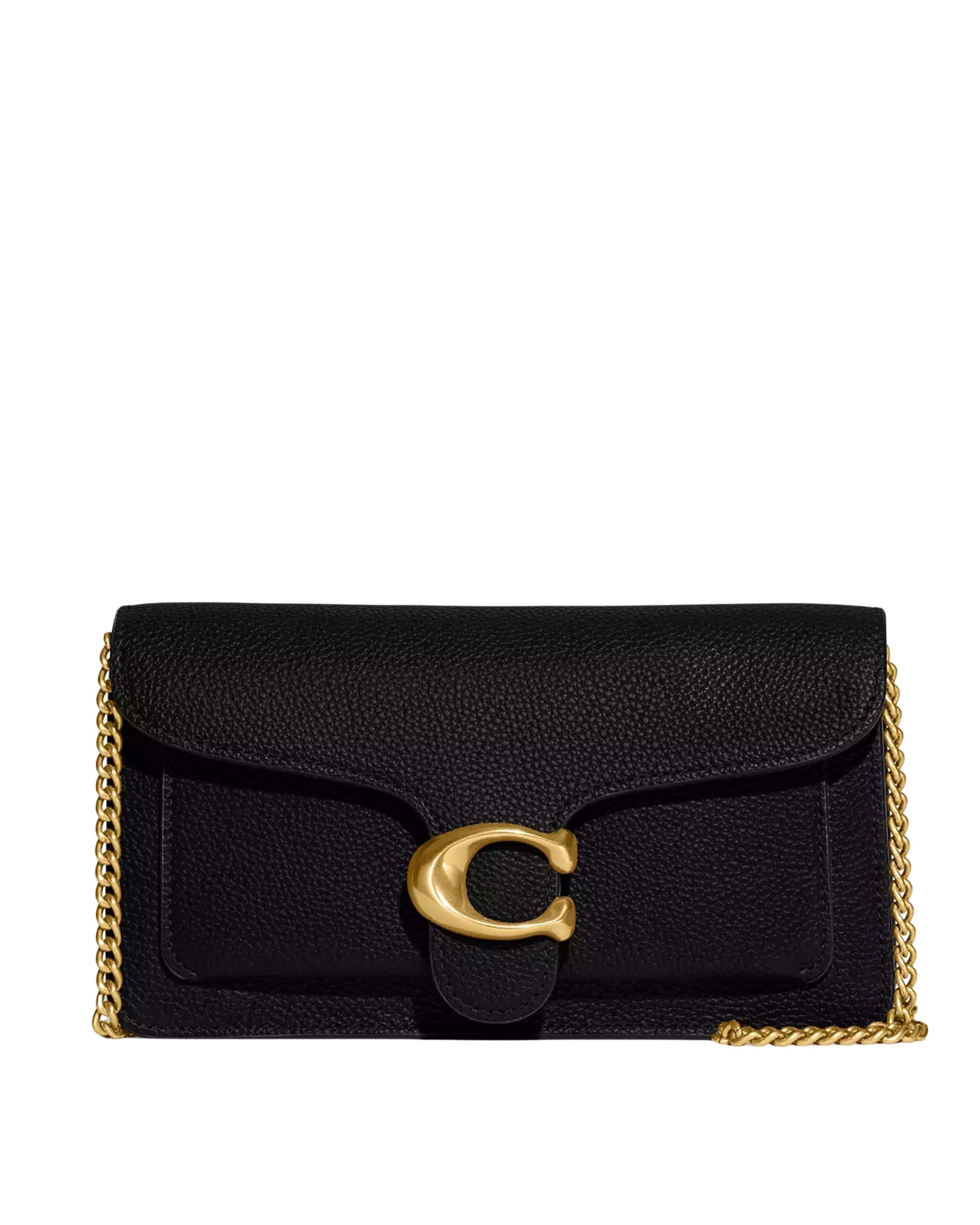 PP Tabby Chain Clutch