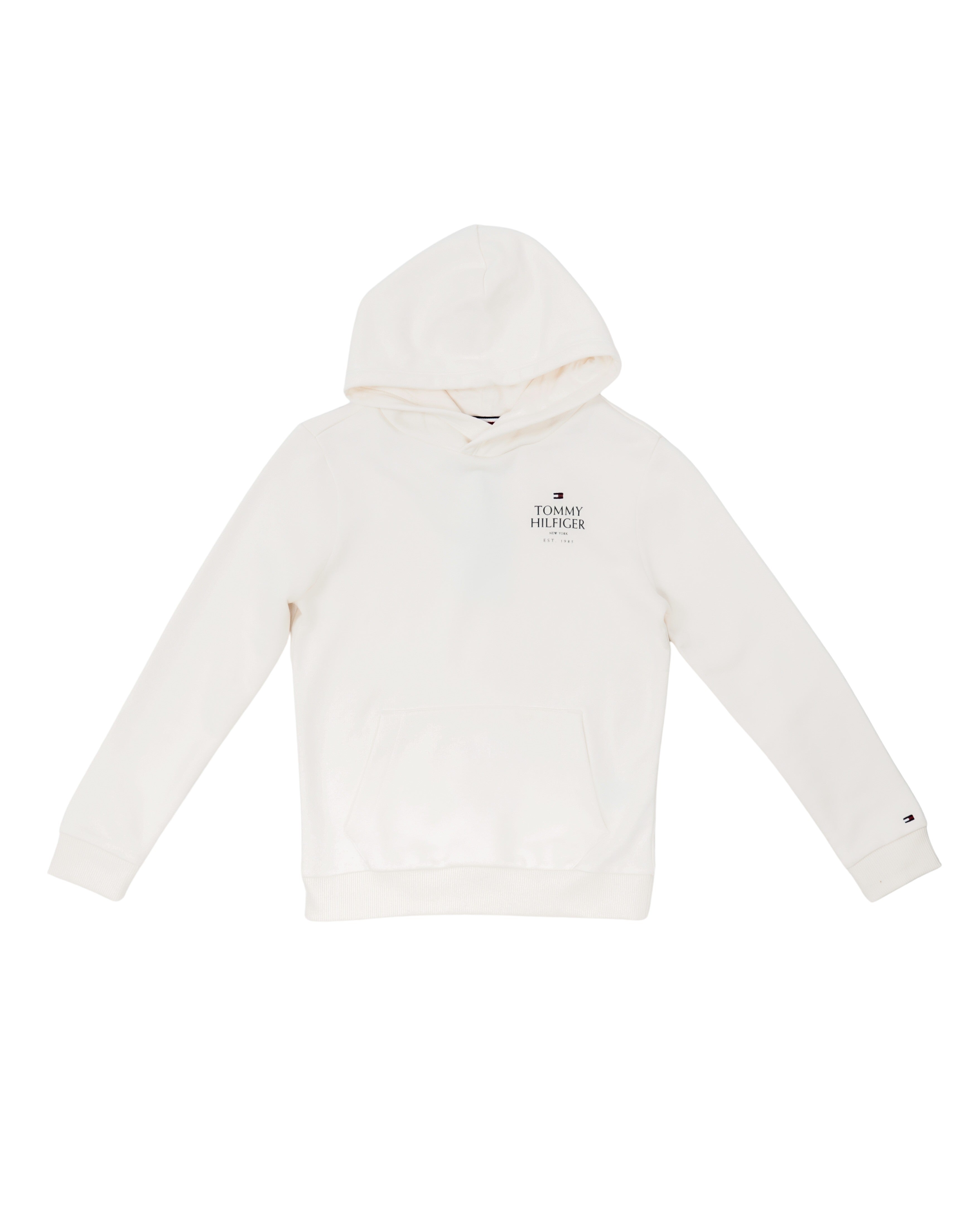 Logo Puff Print Hoodie